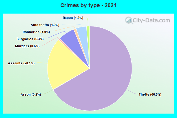 Crimes by type - 2021