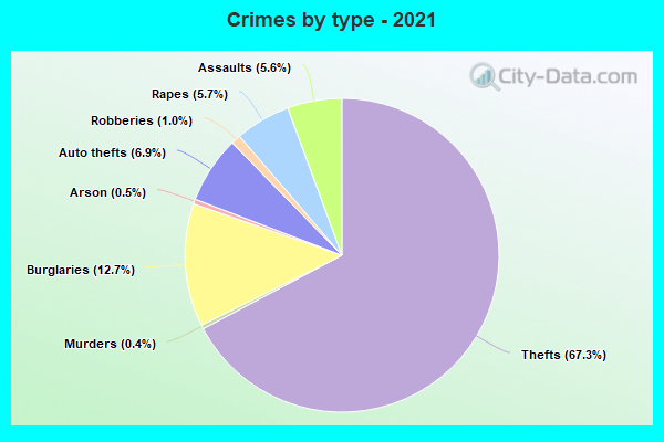 Crimes by type - 2021