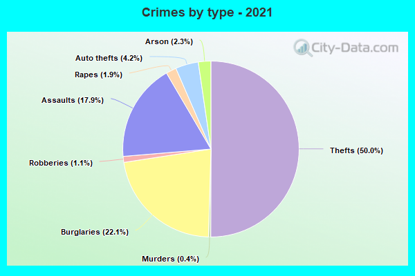 Crimes by type - 2021