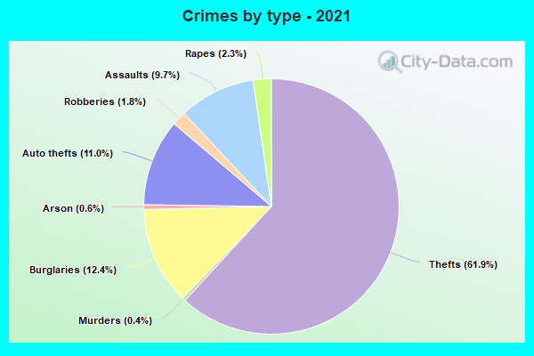 Crimes by type - 2021