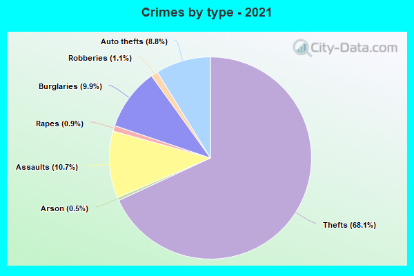 Crimes by type - 2021