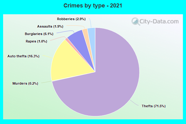 Crimes by type - 2021