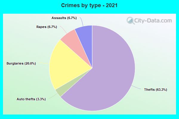 Crimes by type - 2021