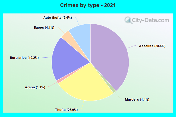 Crimes by type - 2021