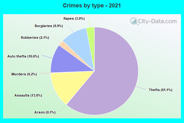 Crimes by type - 2021