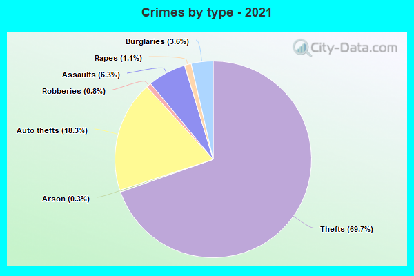 Crimes by type - 2021