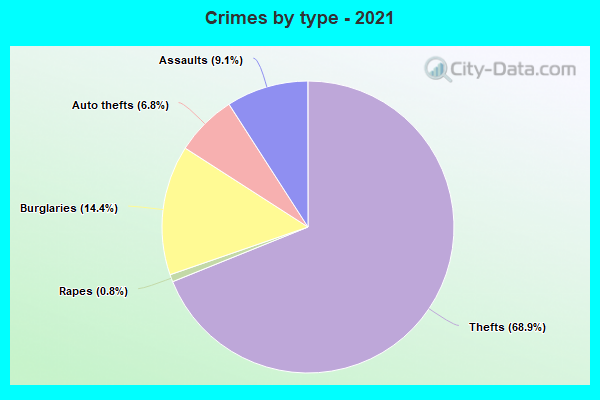 Crimes by type - 2021