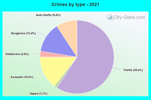 Crimes by type - 2021