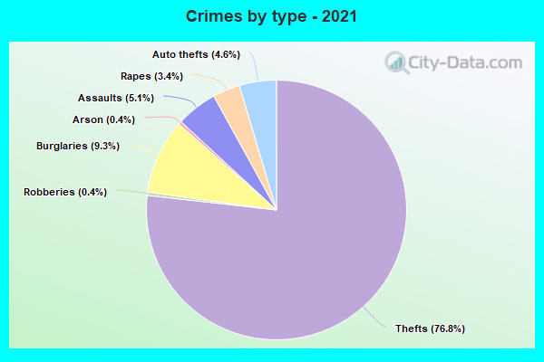 Crimes by type - 2021