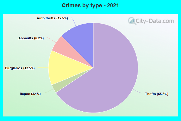 Crimes by type - 2021