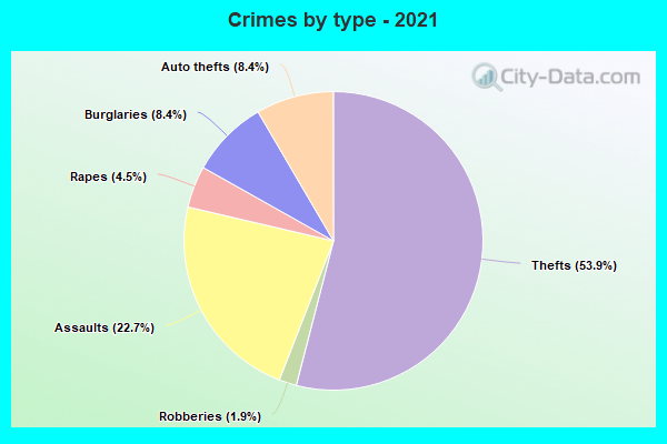 Crimes by type - 2021