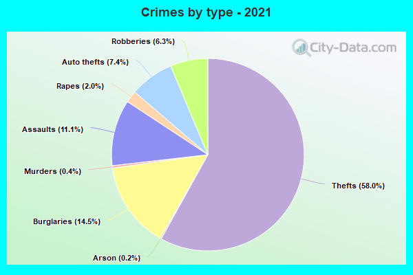 Crimes by type - 2021