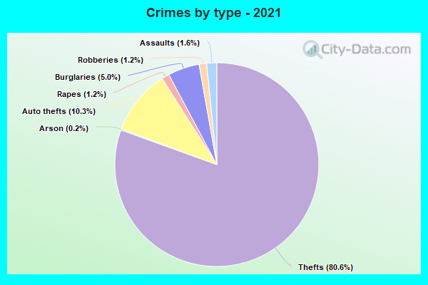 Crimes by type - 2021