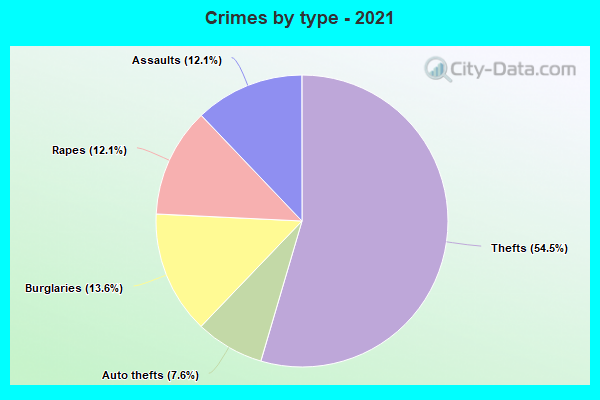 Crimes by type - 2021