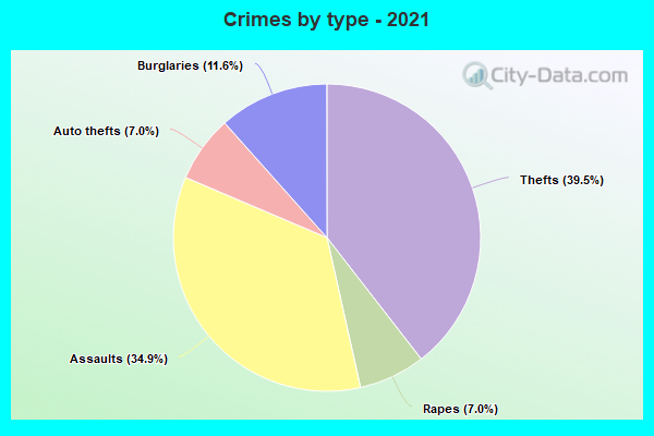 Crimes by type - 2021