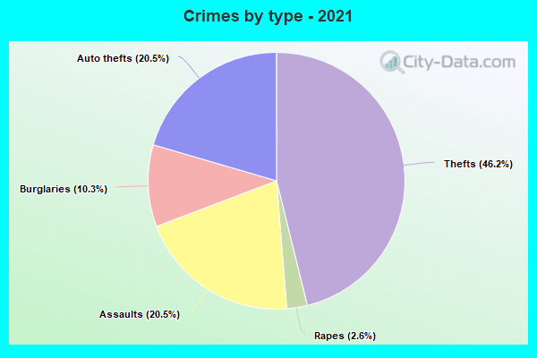 Crimes by type - 2021