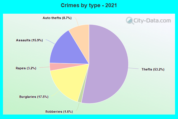 Crimes by type - 2021