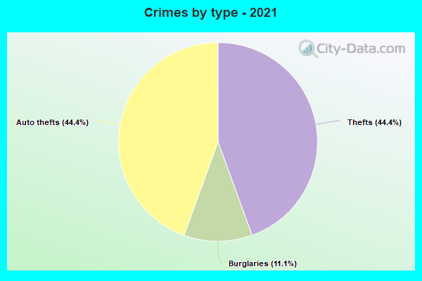 Crimes by type - 2021