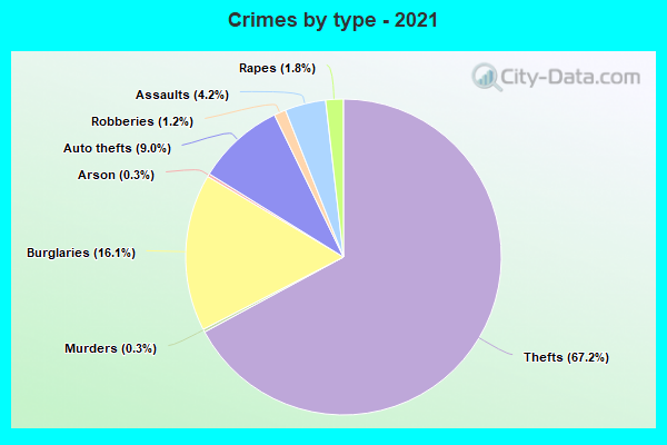 Crimes by type - 2021