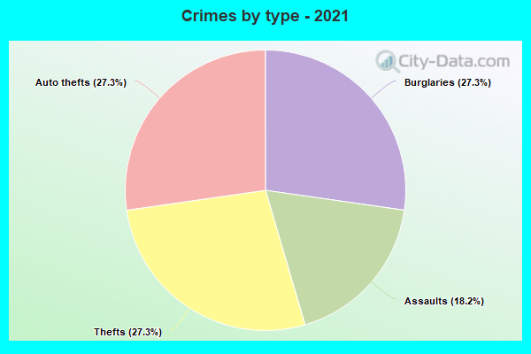 Crimes by type - 2021