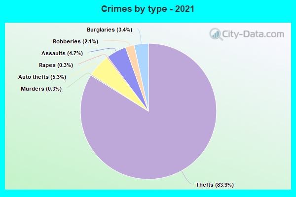 Crimes by type - 2021