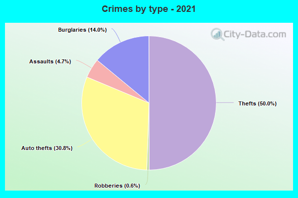 Crimes by type - 2021