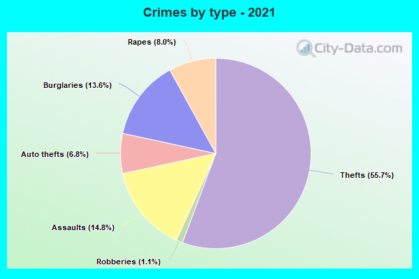 Crimes by type - 2021