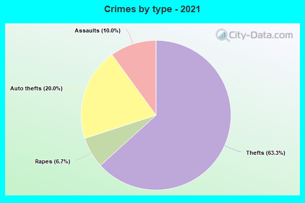 Crimes by type - 2021