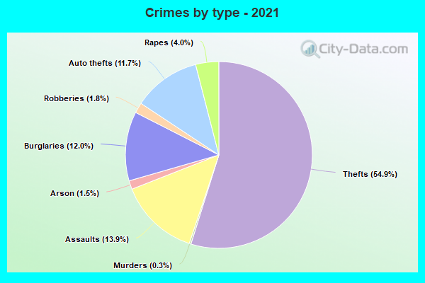 Crimes by type - 2021