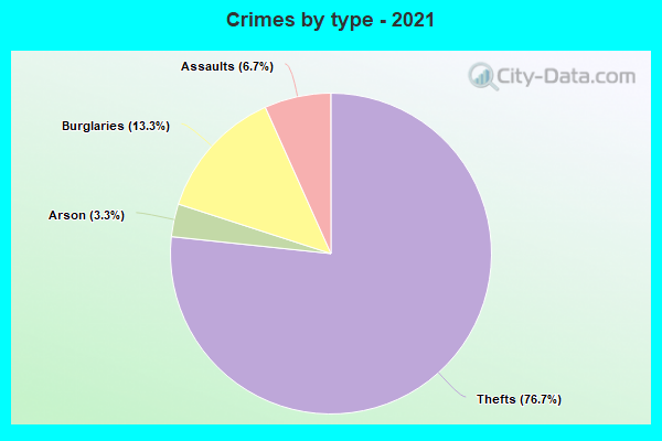 Crimes by type - 2021