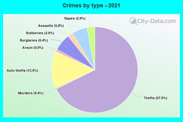 Crimes by type - 2021