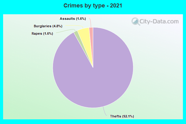 Crimes by type - 2021