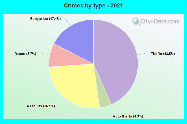 Crimes by type - 2021