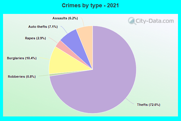 Crimes by type - 2021