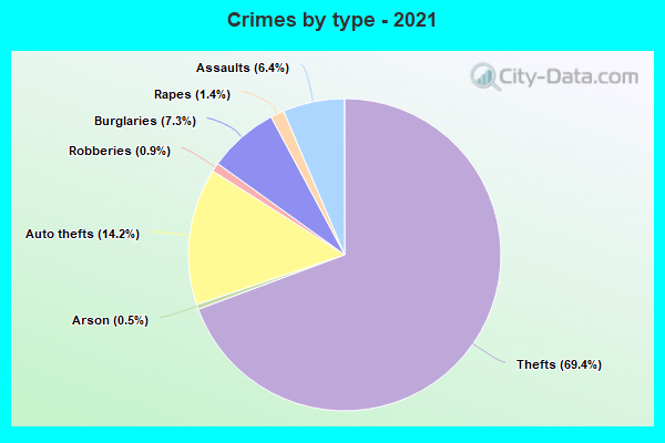 Crimes by type - 2021