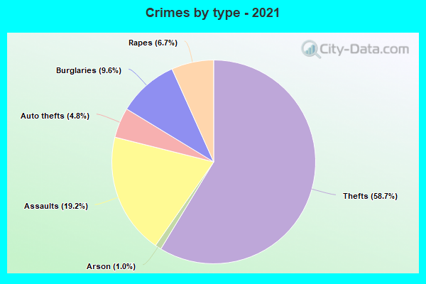 Crimes by type - 2021