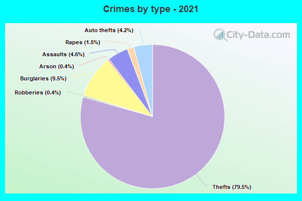 Crimes by type - 2021