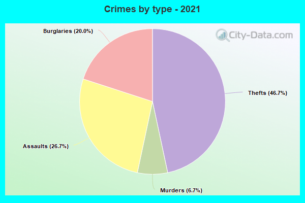 Crimes by type - 2021