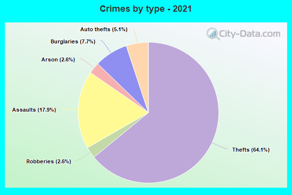 Crimes by type - 2021