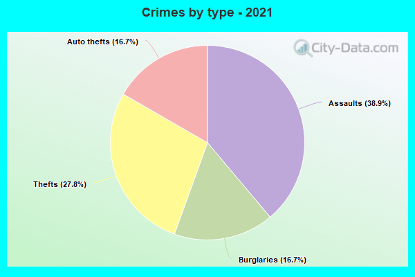 Crimes by type - 2021