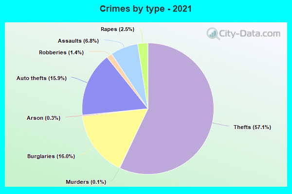 Crimes by type - 2021