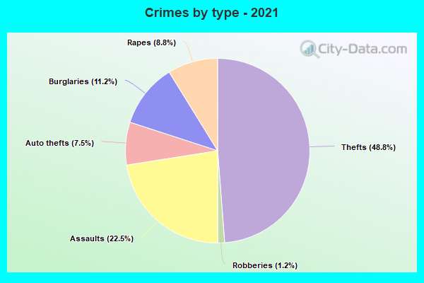 Crimes by type - 2021