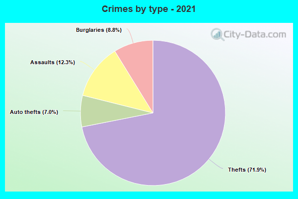 Crimes by type - 2021