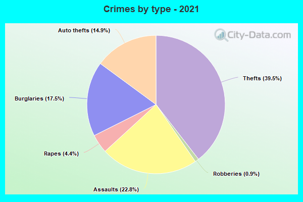 Crimes by type - 2021