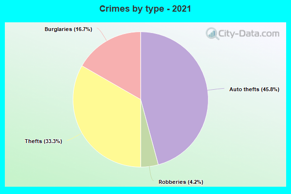 Crimes by type - 2021