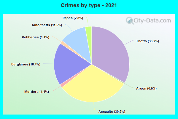 Crimes by type - 2021