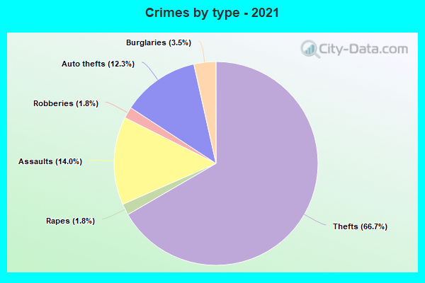 Crimes by type - 2021