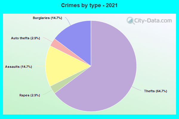 Crimes by type - 2021