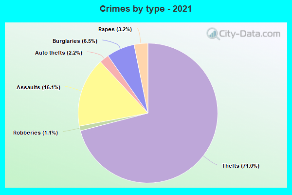 Crimes by type - 2021