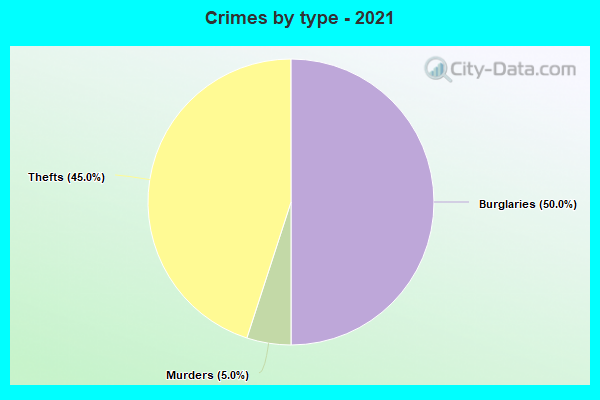 Crimes by type - 2021